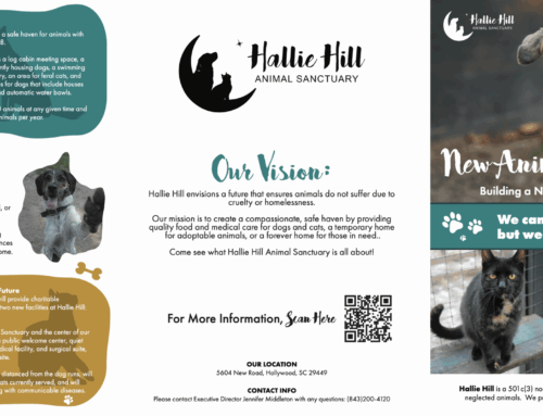 Hallie Hill Animal Sanctuary Tri-Fold Brochure